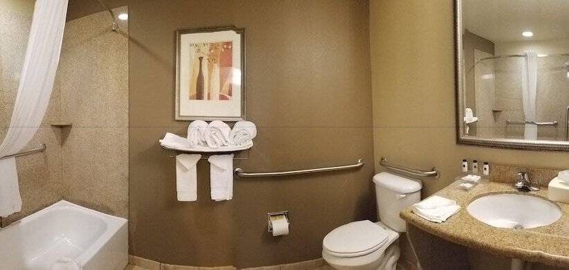 Seffner Inn And Suites