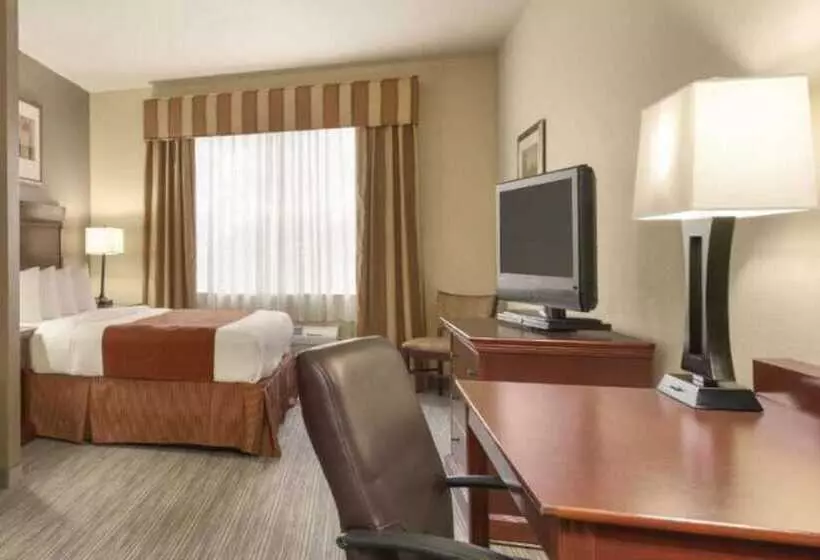 Seffner Inn And Suites