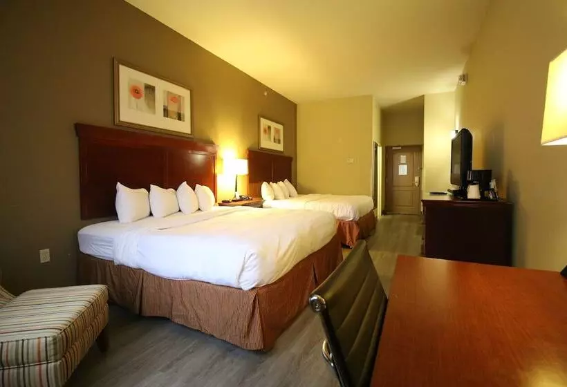 Seffner Inn And Suites