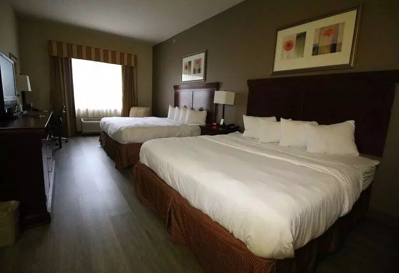 Seffner Inn And Suites