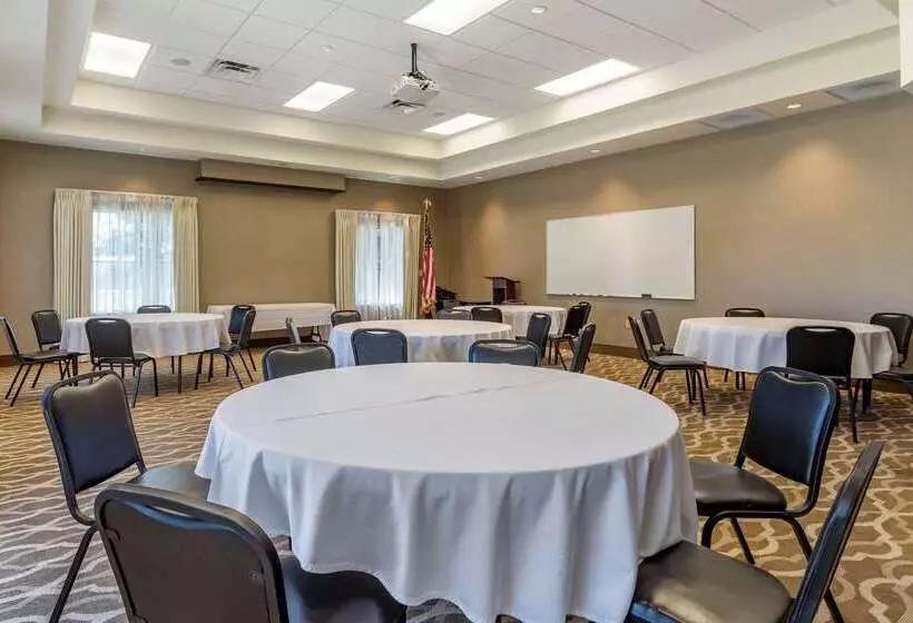 فندق Comfort Inn Athens