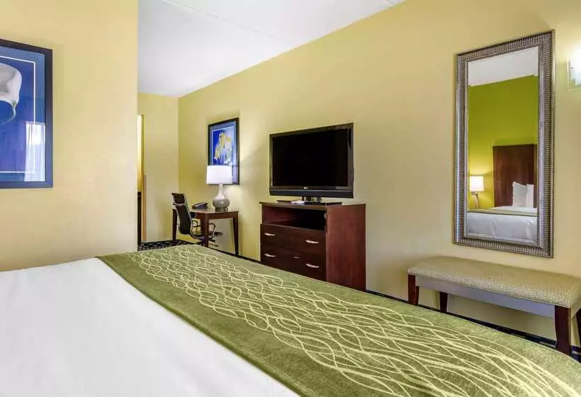 فندق Comfort Inn Athens