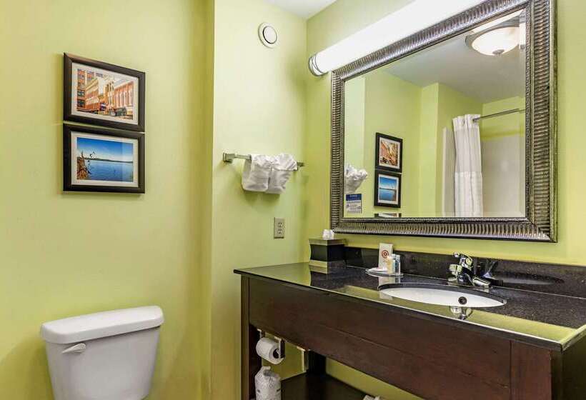 호텔 Comfort Inn Athens