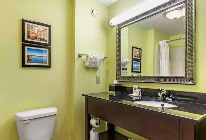 فندق Comfort Inn Athens