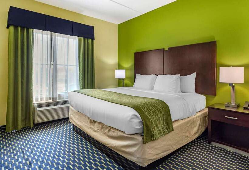 호텔 Comfort Inn Athens