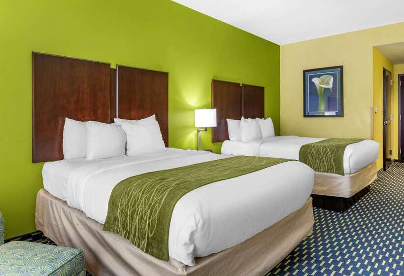 호텔 Comfort Inn Athens