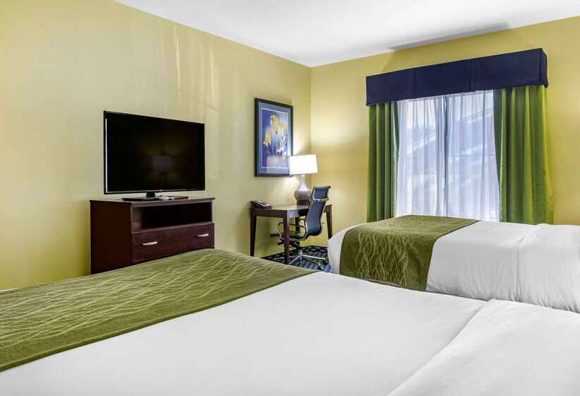 호텔 Comfort Inn Athens