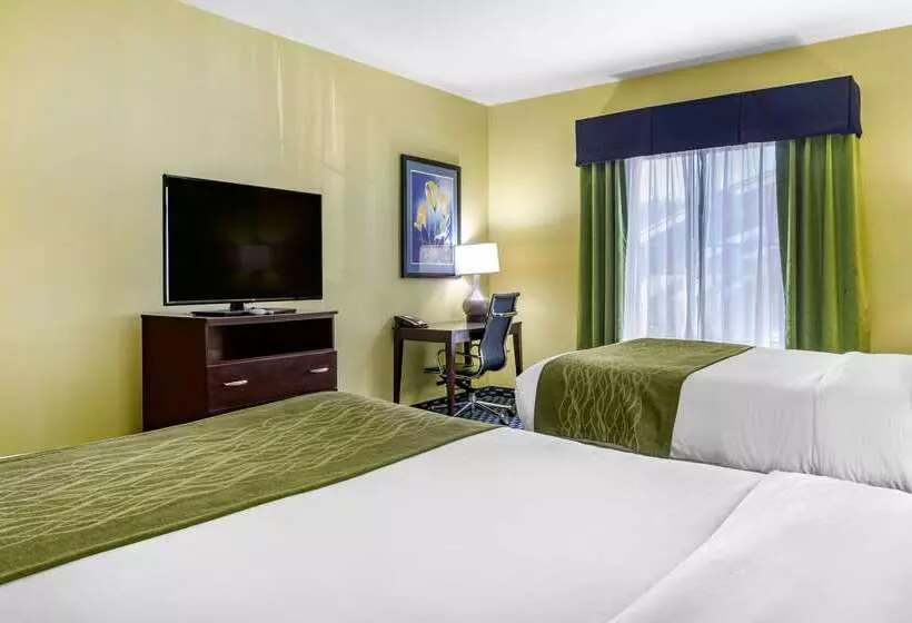 فندق Comfort Inn Athens