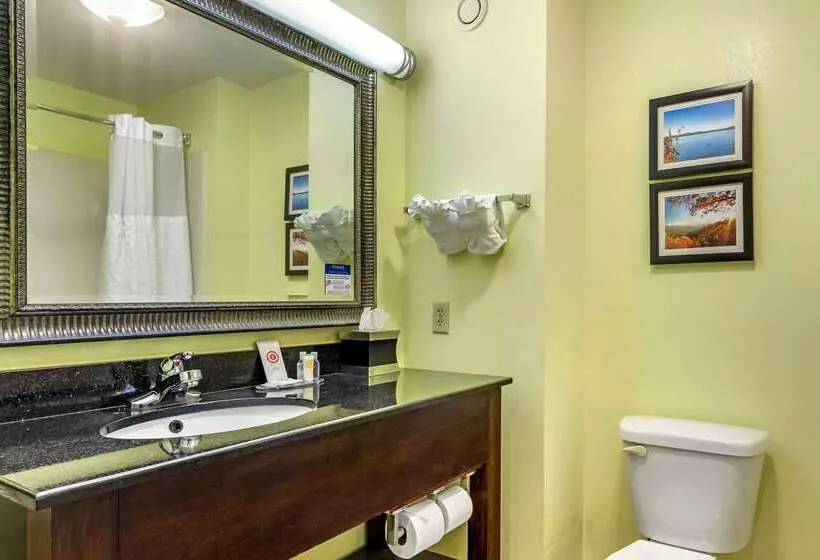 فندق Comfort Inn Athens