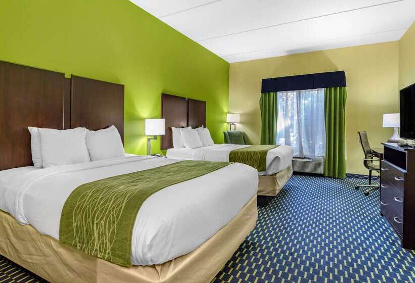 호텔 Comfort Inn Athens