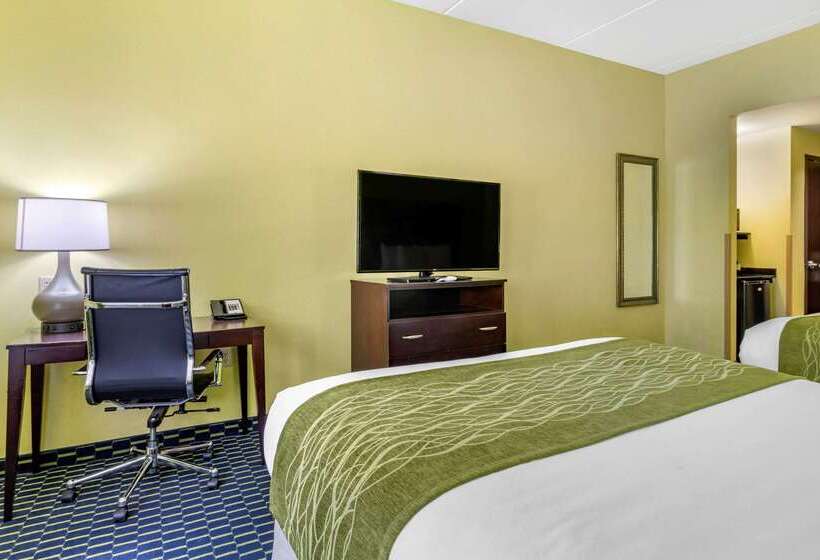 호텔 Comfort Inn Athens