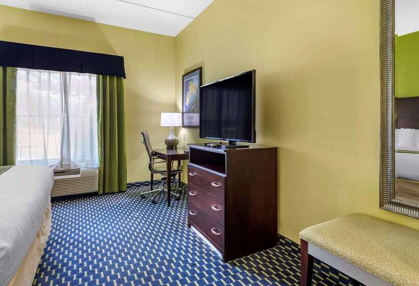 호텔 Comfort Inn Athens