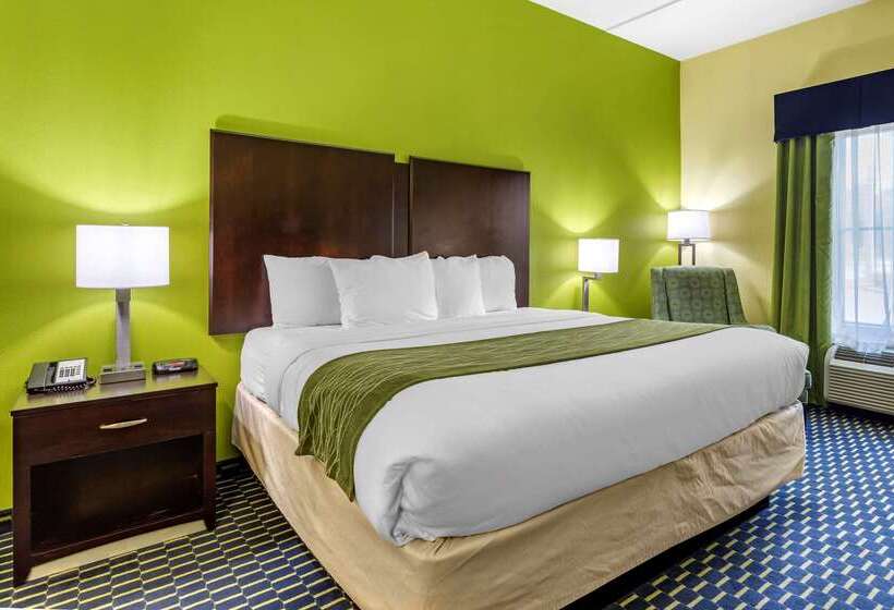 호텔 Comfort Inn Athens