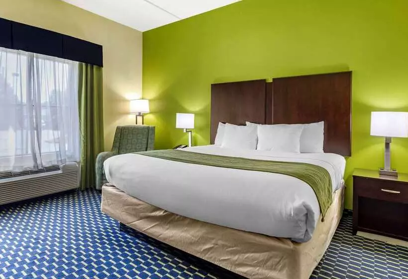فندق Comfort Inn Athens