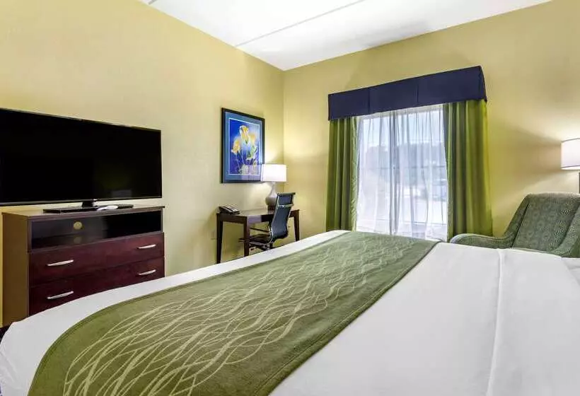 فندق Comfort Inn Athens