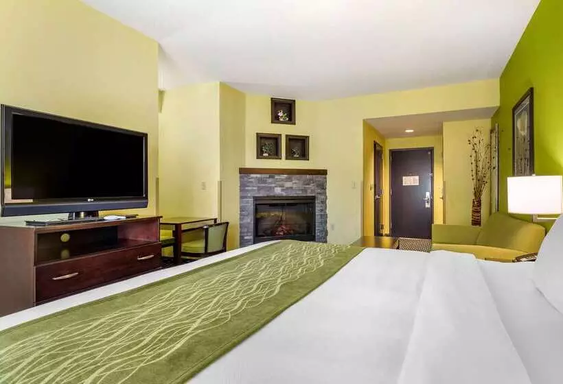 فندق Comfort Inn Athens