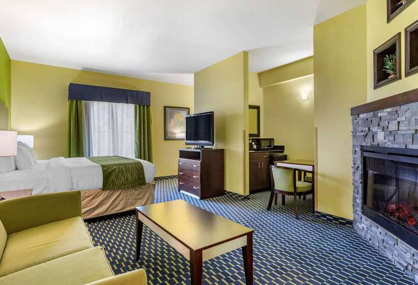 호텔 Comfort Inn Athens