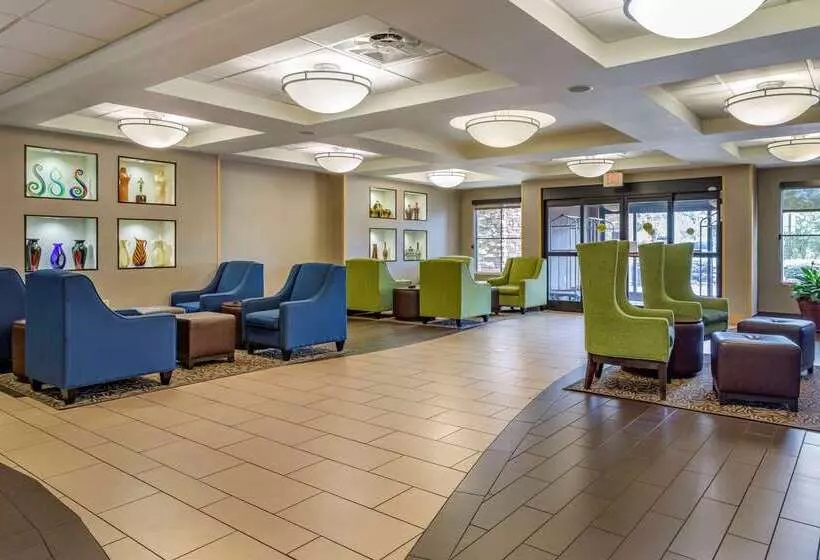 فندق Comfort Inn Athens