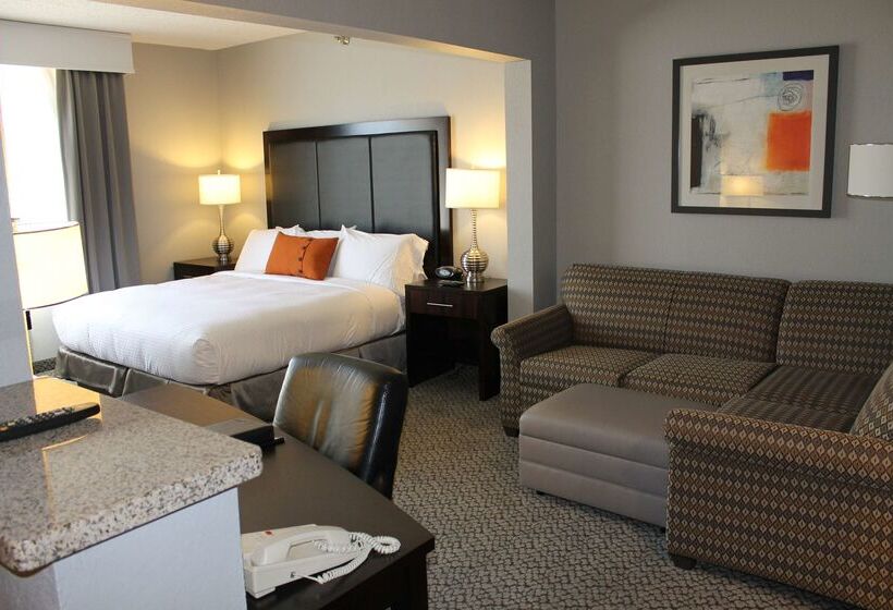 ホテル Hilton Garden Inn Des Moines Airport