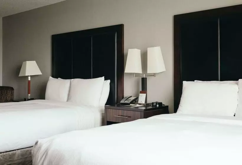 Отель Hilton Garden Inn Des Moines Airport