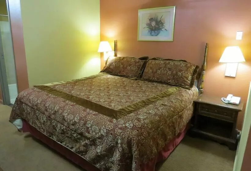 酒店 First Western Inn Caseyville