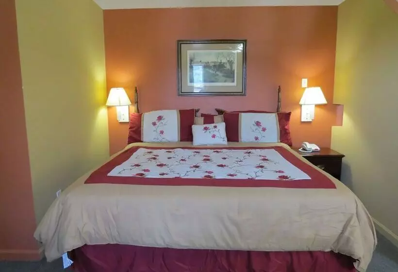 酒店 First Western Inn Caseyville