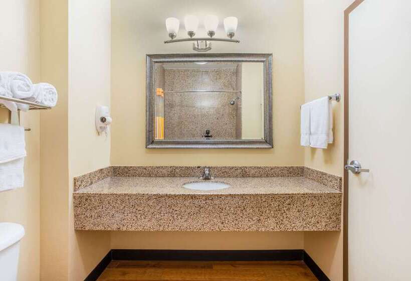 فندق La Quinta By Wyndham Ennis