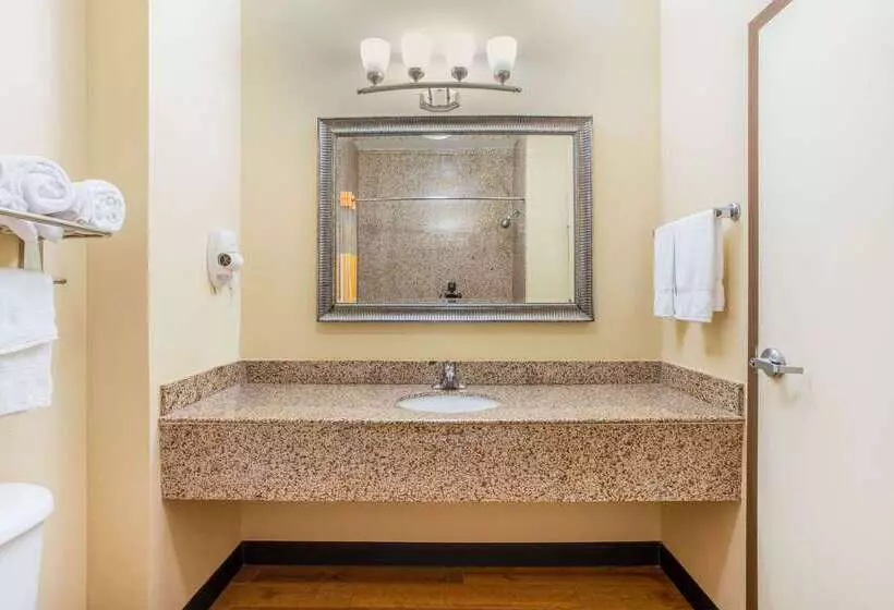 ホテル La Quinta By Wyndham Ennis