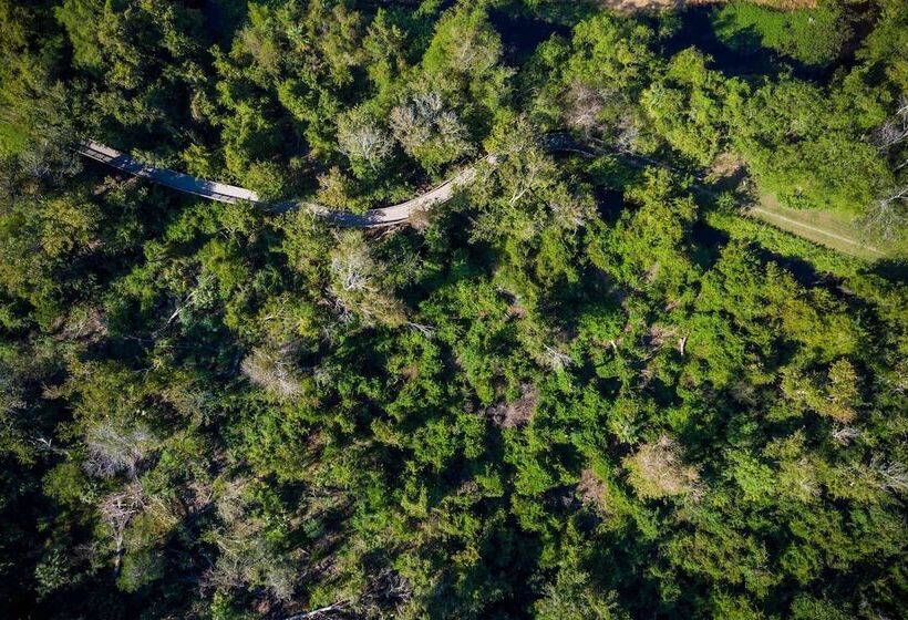 Отель Residence Inn By Marriott Amelia Island