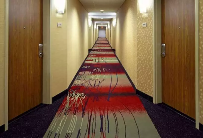 酒店 Springhill Suites By Marriott Columbus Osu