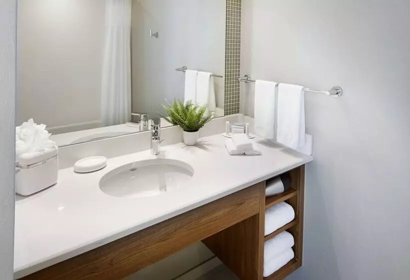 酒店 Springhill Suites By Marriott Columbus Osu