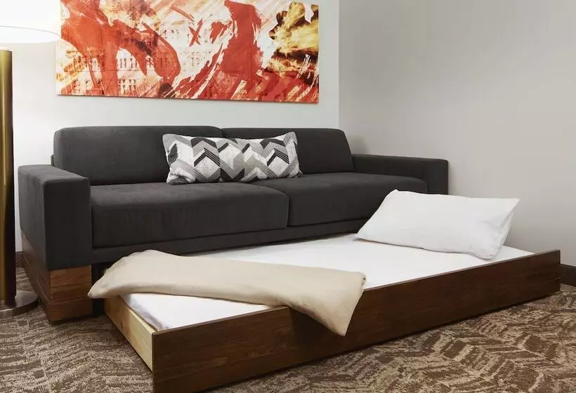 酒店 Springhill Suites By Marriott Columbus Osu