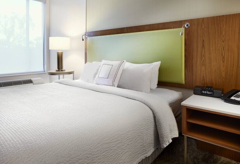 فندق Springhill Suites By Marriott Columbus Osu