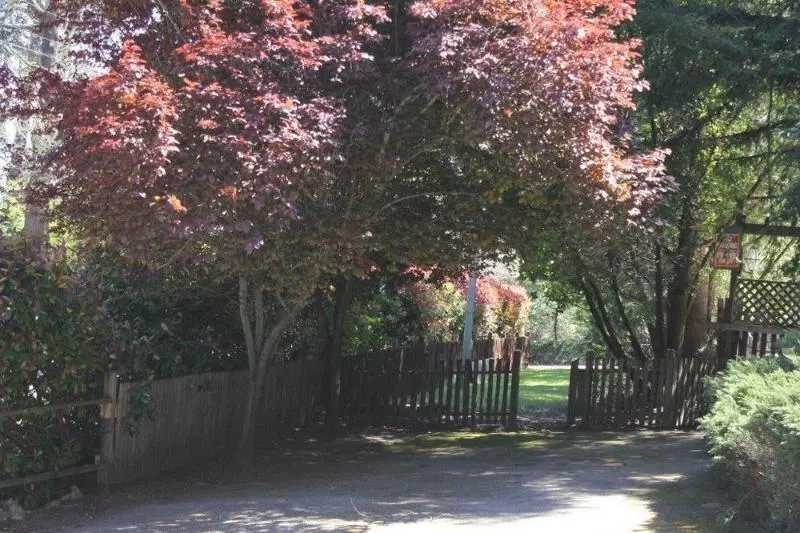 Jaye’s Timberlane Resort