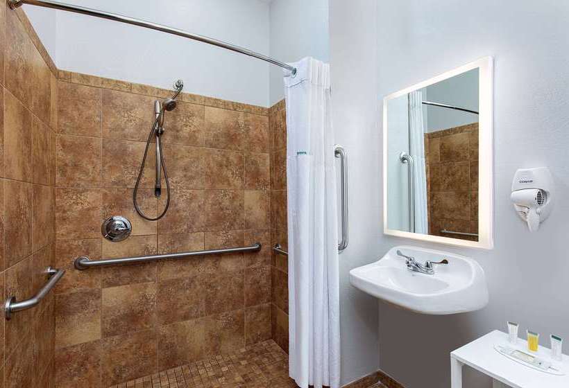 Microtel Inn And Suites By Wyndham