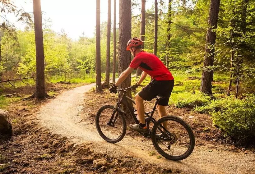 모텔 Budget Inn Of Lynchburg And Bedford