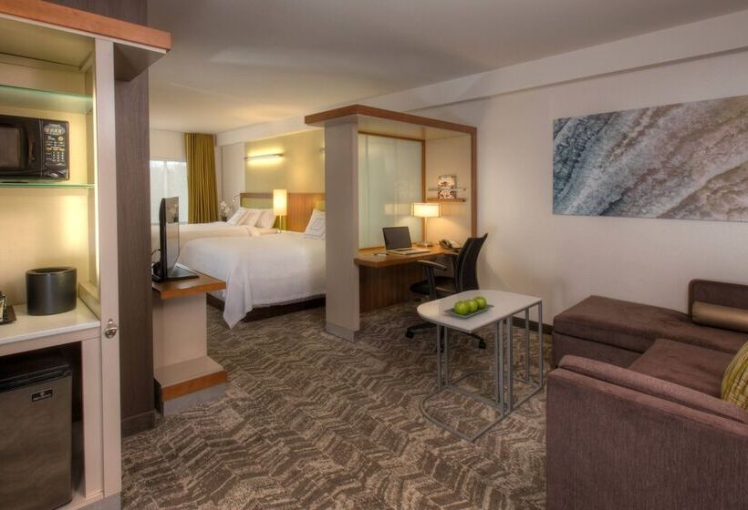 Springhill Suites Anchorage University Lake