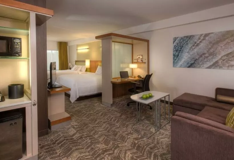 Springhill Suites Anchorage University Lake