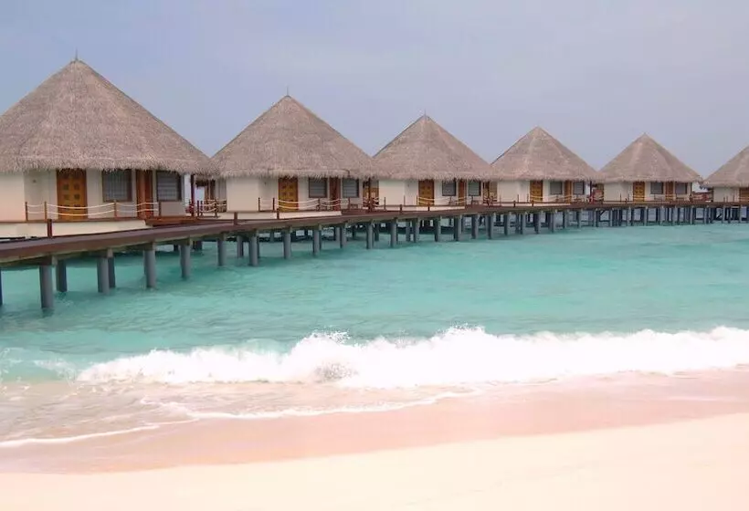 Adaaran Prestige Water Villas   With Dine Around Premium All Inclusive   24 Hours