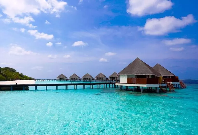 Adaaran Prestige Water Villas   With Dine Around Premium All Inclusive   24 Hours