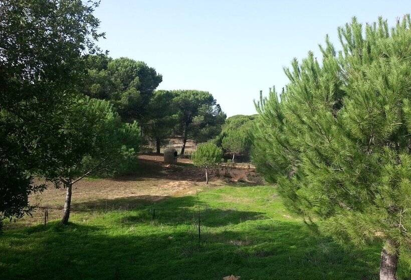 Albergue Rural Territorio Del Gato