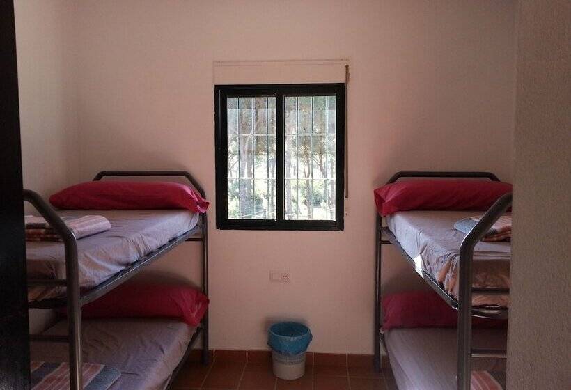 Albergue Rural Territorio Del Gato