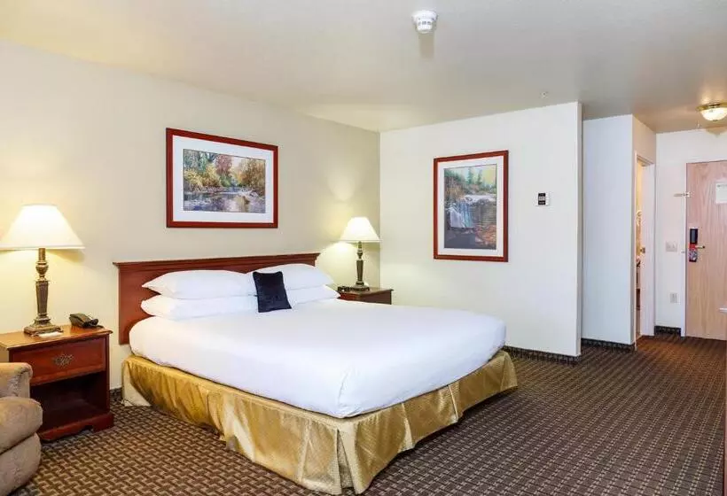 酒店 Comfort Inn & Suites Susanville