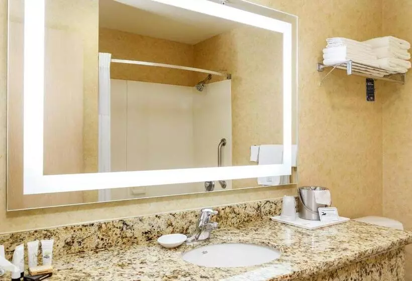 酒店 Comfort Inn & Suites Susanville