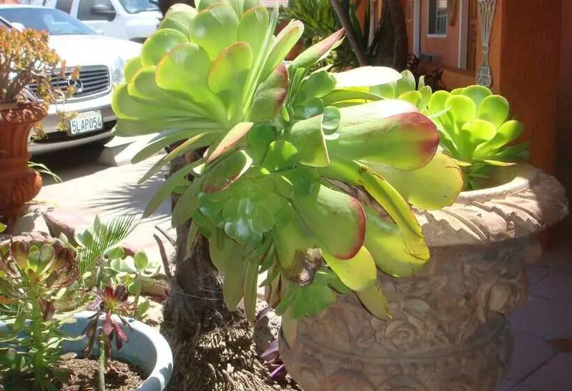 酒店 Economy Inn Los Banos