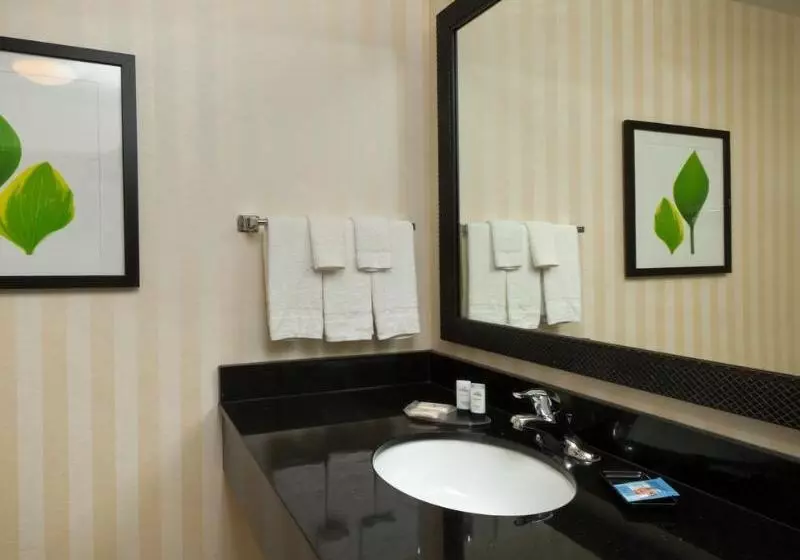 ホテル Fairfield Inn & Suites By Marriott Tallahassee Central