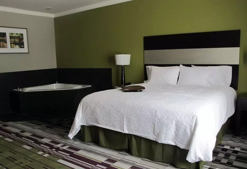 酒店 Hampton Inn By Hilton Leesville Fort Johnson