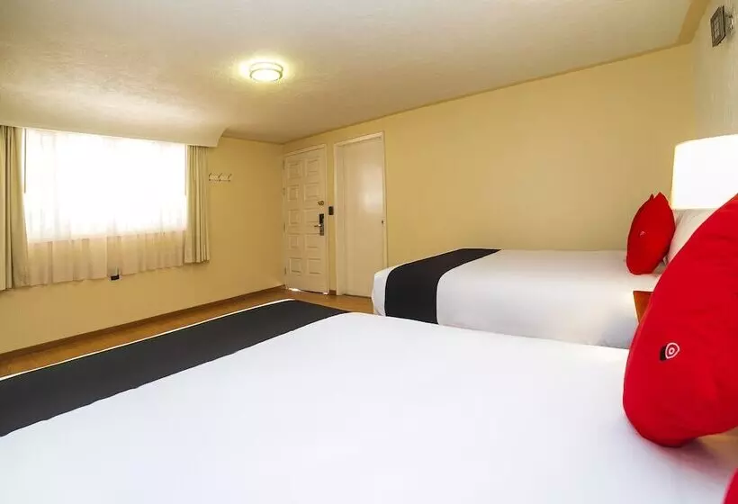 בית מלון כפרי La Mansión Del Quijote