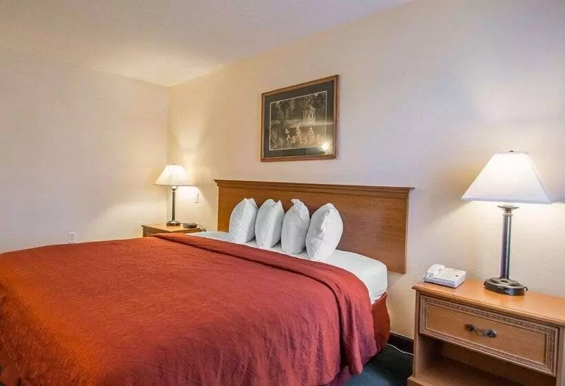 هتل Quality Inn Gainesville I 75
