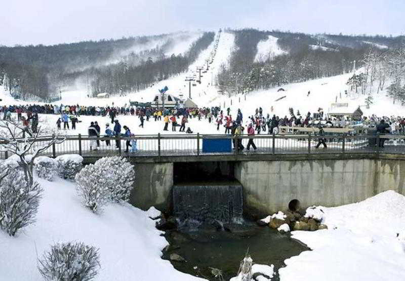 酒店 Springhill Suites Hagerstown